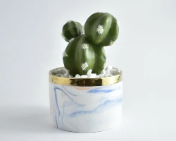 Flower 3